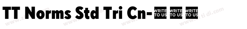 TT Norms Std Tri Cn字体转换
